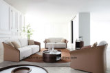 European Modern Fabric Sofa (MS1603A) /Leather Sofa