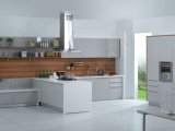 White Shinning Colour UV Kitchen Cabinet (ZX-020)