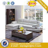Fashion Sofa Modern Living Room Wooden Sofa (UL-NSC204)