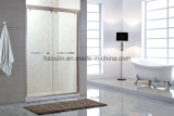 Simple Shower Room Enclosure Door Screen (SS-102)
