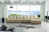 Modern American Leather Sofa (SBO-3992)