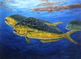 Handmade Marine Life Oil Paintings on Canvas for Home Decoration