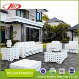 White Rattan Outdoor Furniture, Sectional Sofa (DH-9576)