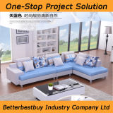 Blue Color Sofa with Competitive Price