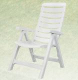 Swimming Pool Plastic Beach Chair Foldable