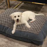 Pet Product Plush Dog Bed Cat Mattress Mat Bed