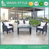100 Sets/40 Hq Simple Kd Rattan Sofa Set Disassembly Patio Sofa Set (Magic Style)