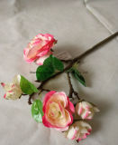 Artificial Flower 5 Heads Roses for Home Decoration
