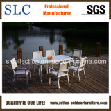 Fashionable Outdoor Furniture/Aluminium Design Outdoor Furniture (SC-B8877)