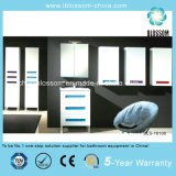 Hangzhou Factory Made Floor Mounted PVC Bathroom Vanity, Cabinet (BLS-16100)
