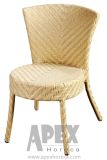 Florence Cafe Chair Outdoor Furniture Aluminum Rattan Dining Chair (AS1056AR)