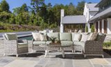 Outdoor Chatting Sofa Set Garden Furniture Wf050012