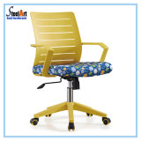 Middle Back Office Furniture Chair (KBF 813B)