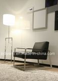 Leisure Sofa Furniture (D-81)