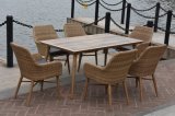 Rattan Bistro Chair & Table Set HS30329c&HS20118dt