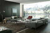 Italian Style Furniture Leather Sofa D-84