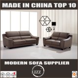 Brown Leisure Home Furniture Combination Sofa