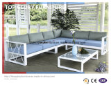 PE Rattan Wicker Sofa Outdoor Garden Furniture (TG-067)