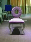 Stainless Steel Frame Leather/Cloth Cushion Chair