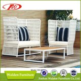 White Rattan Outdoor Furniture (DH-868)