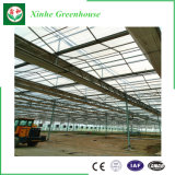 Glass Greenhouse for Vegetable/Flower Growing