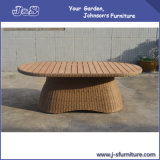 Polywood Table Top Outdoor Patio Rattan Furniture-Garden Set (J236)