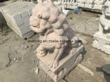 Garden Decorative Marble Lion Stone Foo Dog Statues for Sale