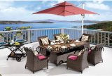 Outdoor /Rattan / Garden / Patio/ Hotel Furniture Rattan Chair & Table Set (HS1629AC & HS 7617DT & HS 5003)