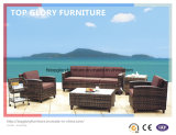 Modern Wicker/Rattan Sofa for Outdoor Furniture (TG-035)