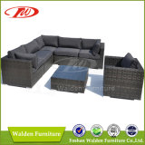 Home Furniture (DH-7350)
