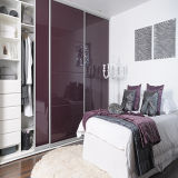 High Glossy Bedroom Wardrobe (ZH-068)