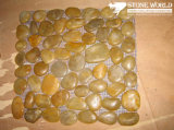 Natural Yellow Pebble Stone on Mesh for Wall & Swimming Pool