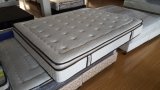 OEM Compressed Sleepwell Mattress 25cm with Pocket Spring and High Density Foam