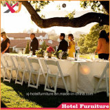 Folding Plastic Chair for Beach/Hotel/Outdoor/Banquet/Wedding/Restaurant