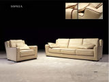 Modern Sofa Set Living Room Sofa for Home Furniture (4seater+1seater)