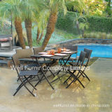 Rattan Dining Chair/ Wicker Table/ 9-Piece Cheap Folded Outdoor Dining Set (WF-21081)