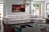 Fashion Modern Leather Home Sofa (SBL-9021)