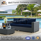 Well Furnir WF-17051 Rattan Sofa with Cushion