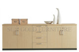 Modern Low Storage Cabinet, Tea Cabinet (SZ-FC001)
