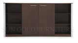 Minimalist Office Storage Cabinet Livingroom Furniture (SZ-FC062)