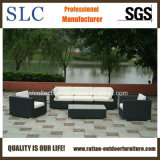 Patio Furniture/ Rattan Outdoor Sofa/ Wicker Outdoor Sofa (SC-B6018-F)