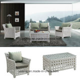 Top Quality Selling Aluminum Woven Outdoor Garden Furniture Sofa Set (YT616)