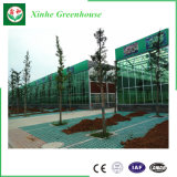 Mutil Span Agriculture Glass Greenhouse Supplier for Vegetable Tomato Flowers