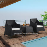 Competive Price Sythetic Rattan Outdoor Garden Set Coffee Set Usded in Balcony by Chair & Coffee Table (YT280)