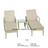 Cheap Outdoor Rattan Wicker Furniture Sun Bed (YT420)