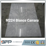 Popular White marble Carrara Stone for Hotel/ Villa Decoration Material