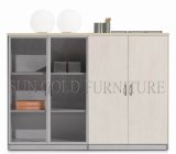 Modern Office Ikea Style Glass Door Small Filing Cabinets (SZ-FC071)