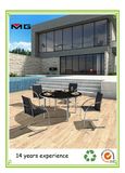 Outdoor Garden Chairs with Stainless Steel Frames