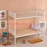 Jas-086 Cheap Two Person Adult Bunk Beds / Metal Double Bunk Bed