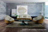 Living Room Comfortable Simple Design Genuine Leather Sofa 1+2+3 (SBL-9007)